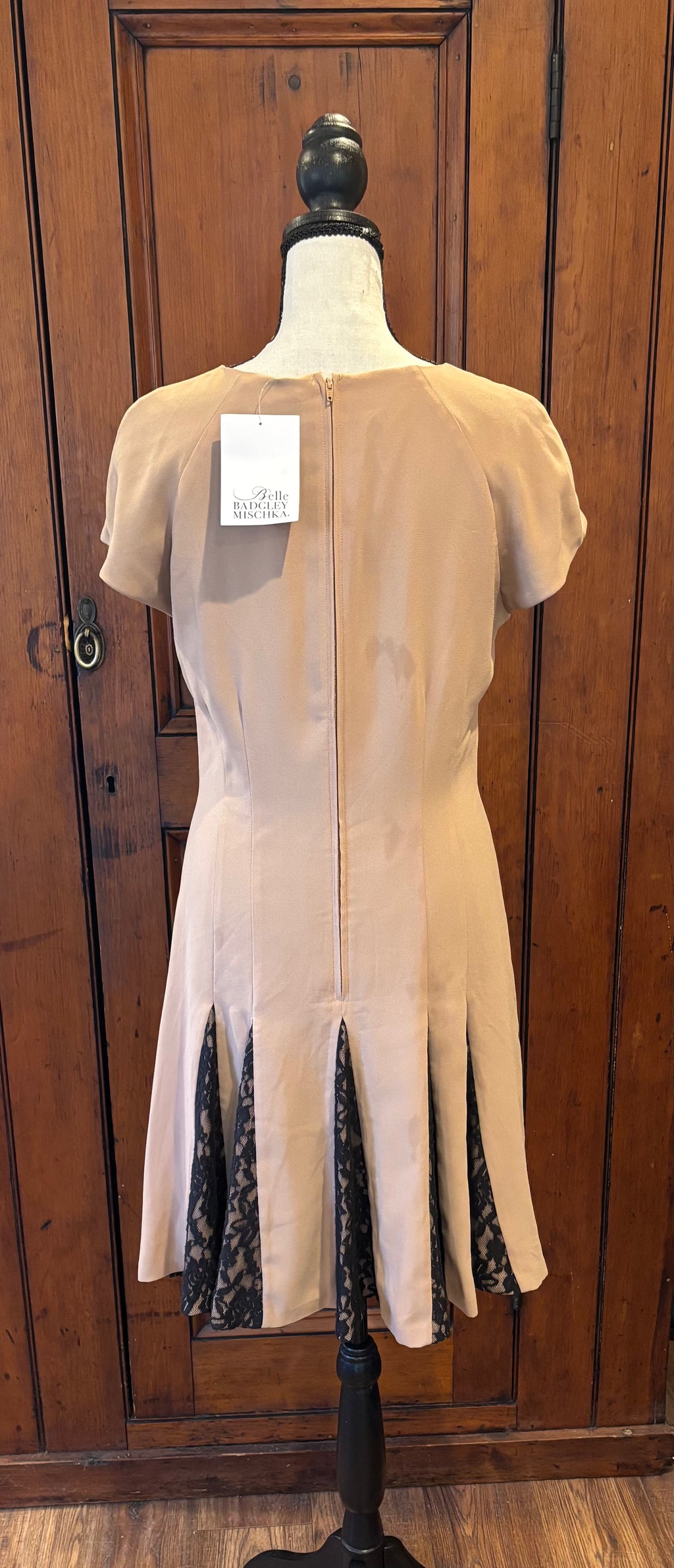 Belle Badgley Mischka beige cocktail dress back view thrifted dresses brand new with tags Sassy and Chic