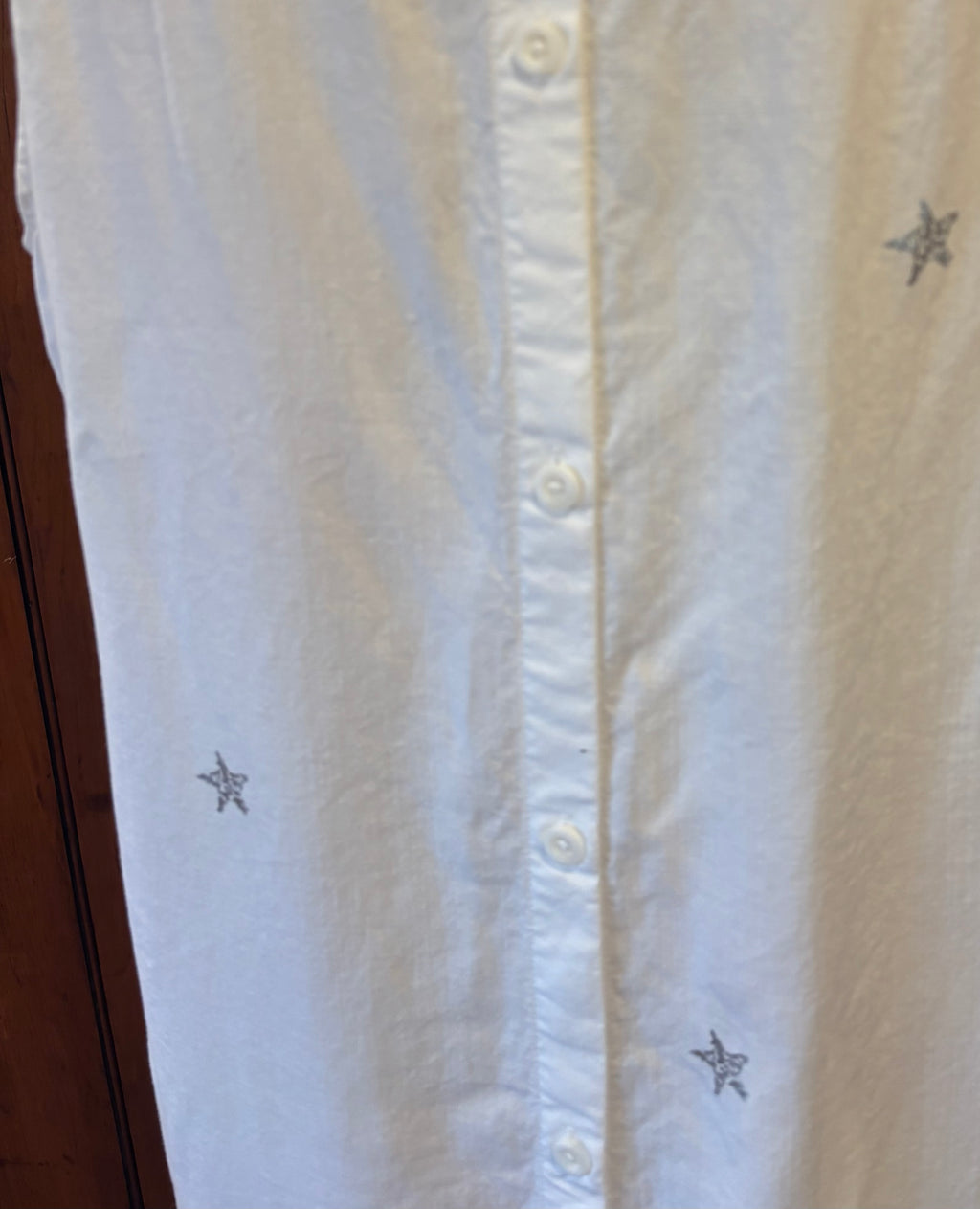 Cloth and Stone white silver star print dress detail close up shimmering silver star print like new Sassy and Chic