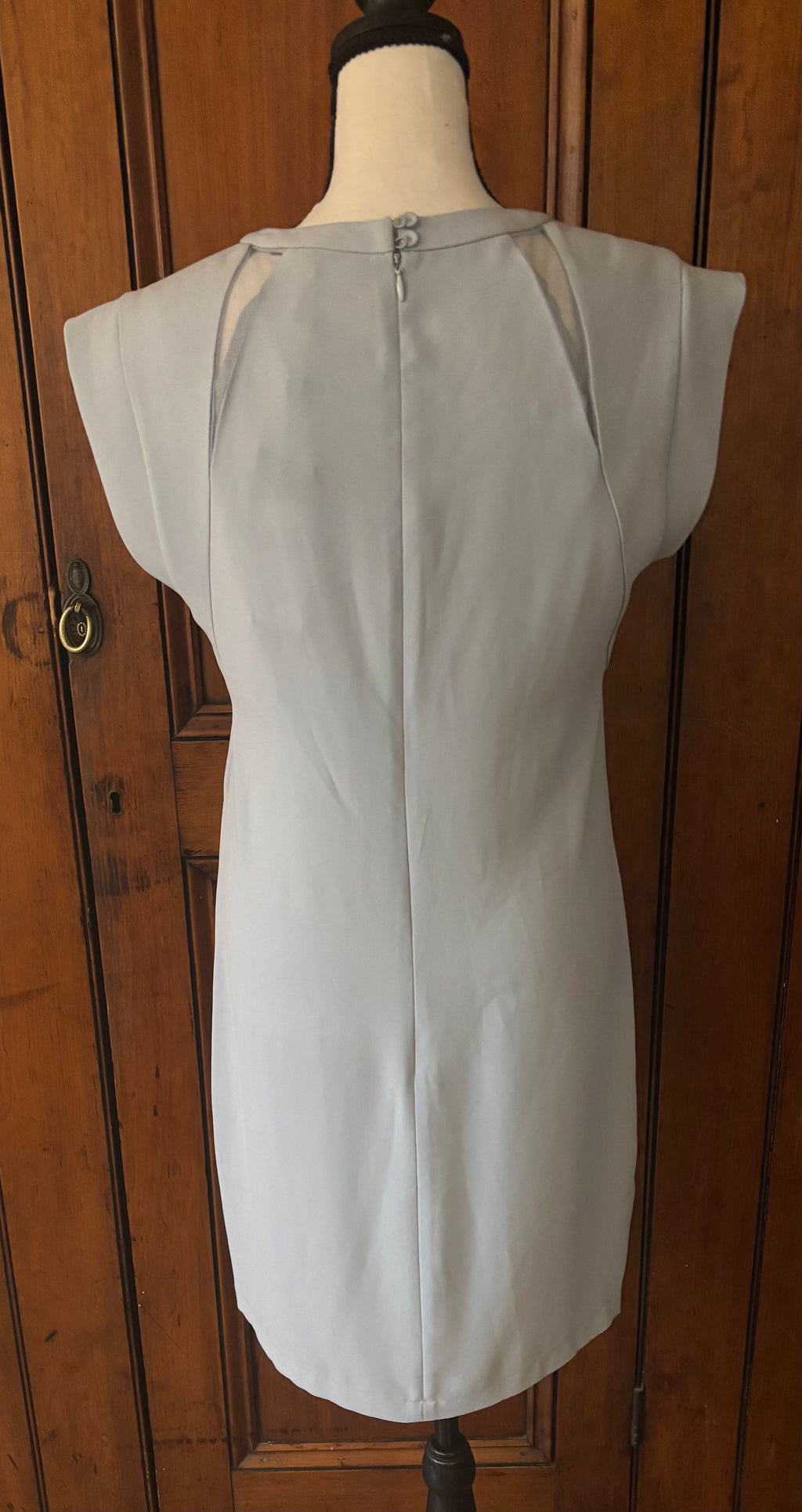 BCBG light blue grey cap sleeve mini dress back view thrifted finds designer dresses brand new tags Sassy and Chic