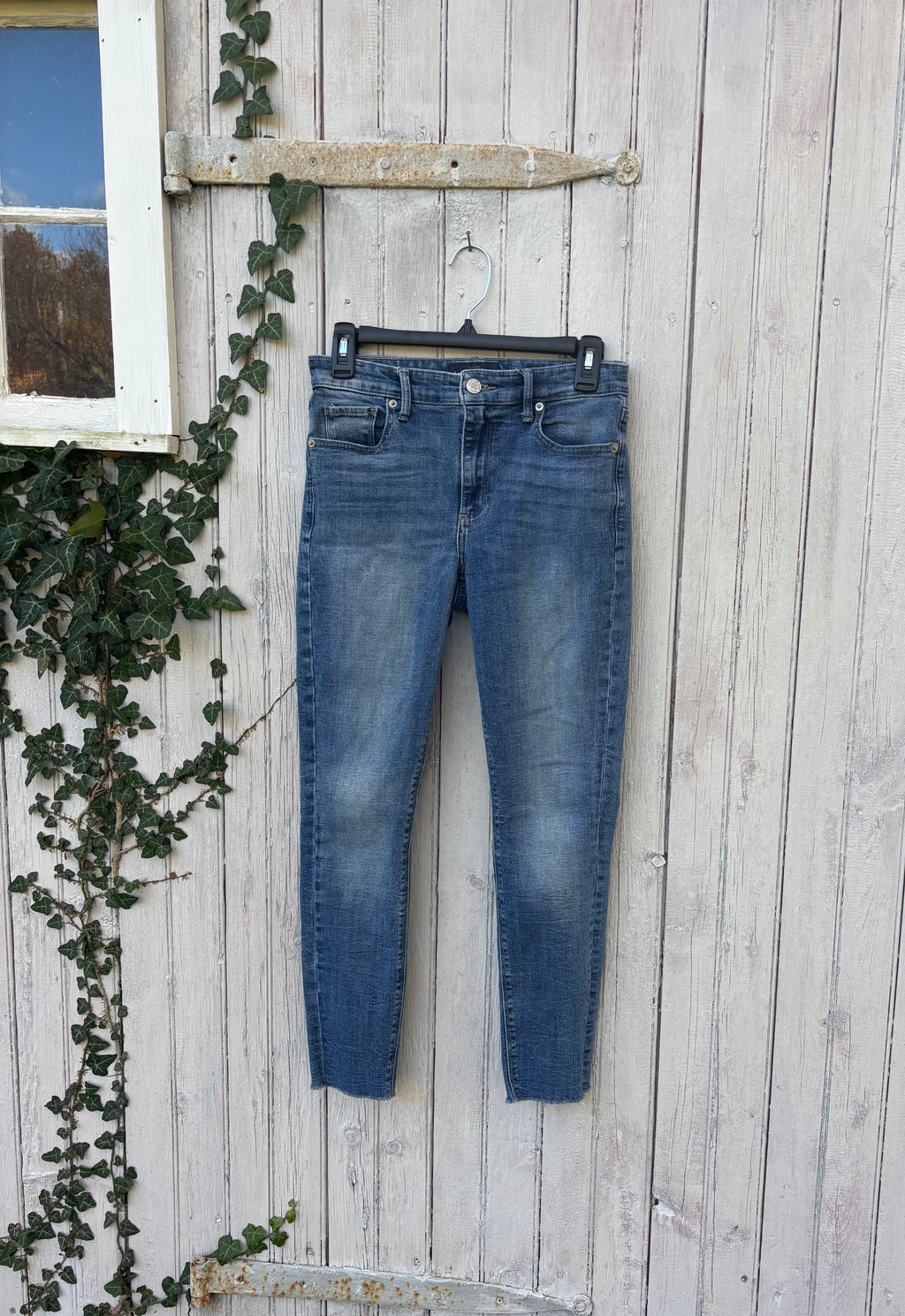 Lucky Brand Jeans  Size 2