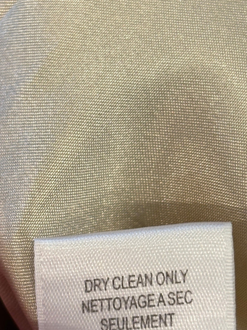 Care label showing dry clean only on BCBG Max Azria silk dress