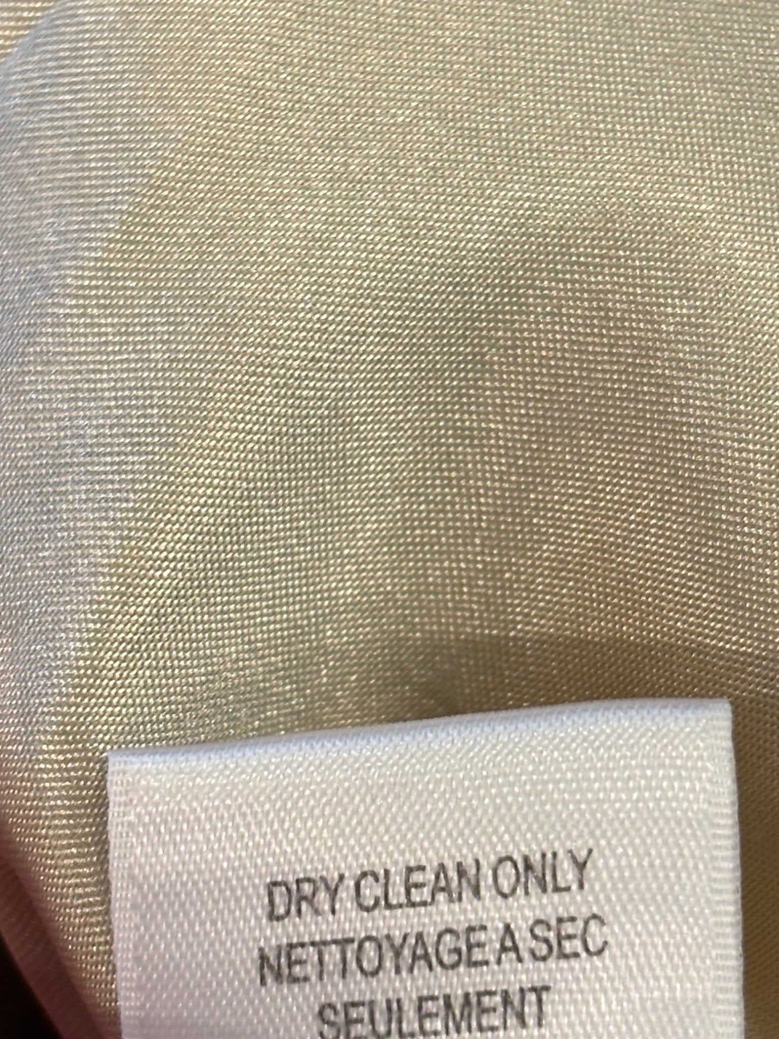 Care label showing dry clean only on BCBG Max Azria silk dress