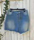Hayden Los Angeles light wash denim wrap mini skirt on fence hanger, front view showing faux-wrap detail and raw frayed hem, size Large NWT