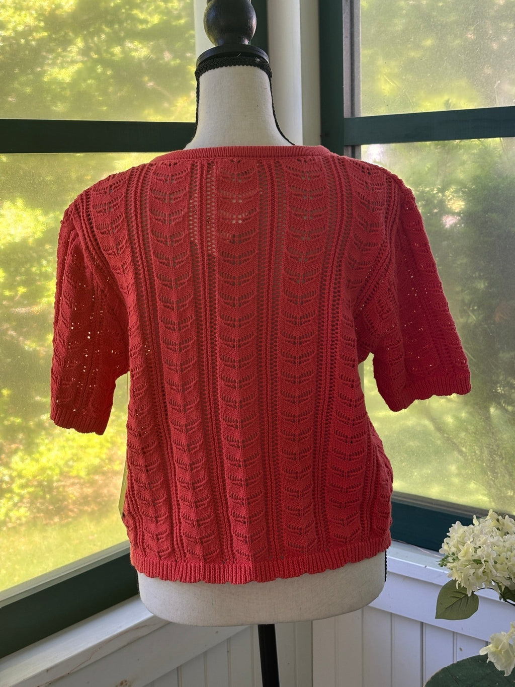 Olivia Grey pointelle cardigan coral back view short sleeve size medium new with tags Sassy and Chic