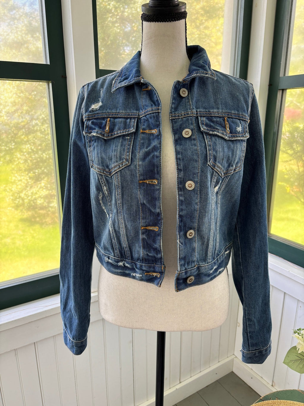 Hollister cropped distressed denim jacket front view button closure pre-loved jackets Sassy and Chic