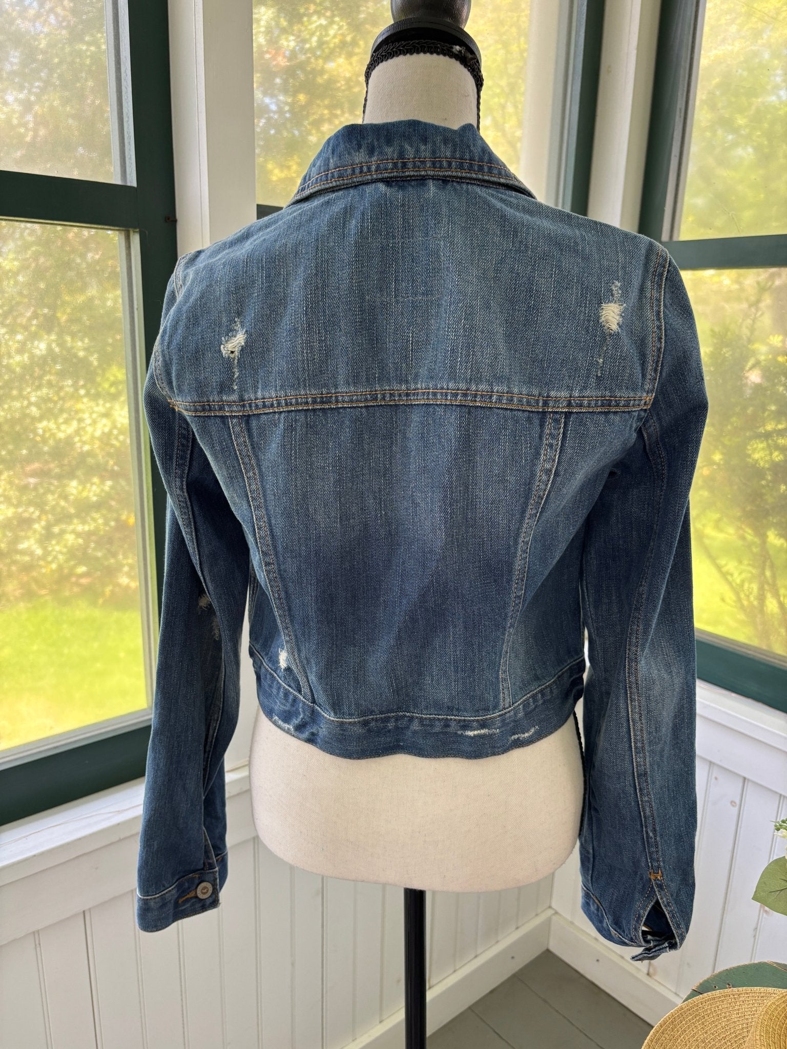 Hollister cropped distressed denim jacket back view cropped silhouette like new Sassy and Chic
