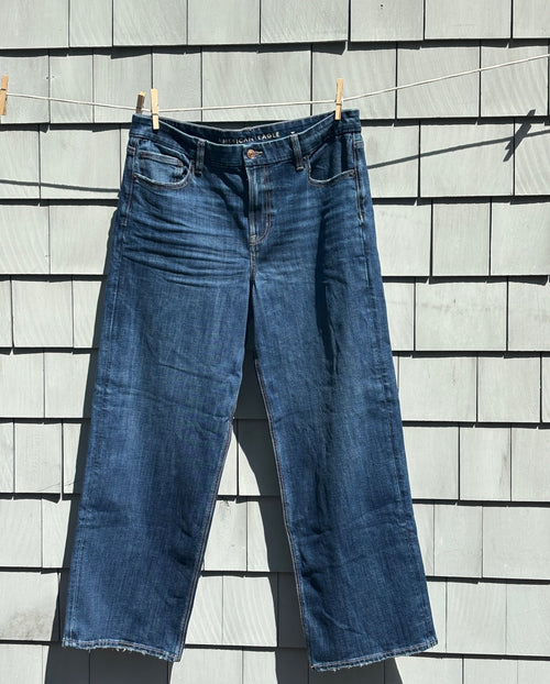 AEO Curvy Stovepipe dark wash jeans front view stovepipe silhouette thrifted jeans Sassy and Chic