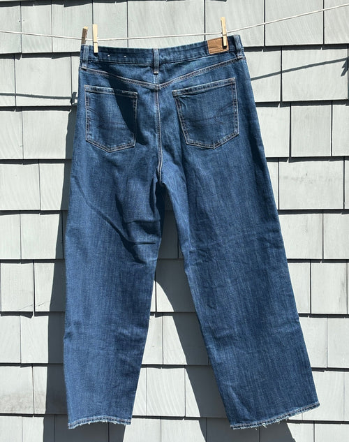 AEO Curvy Stovepipe dark wash jeans back view frayed hem brand new tags Sassy and Chic